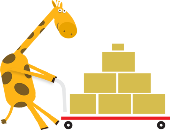 Transportation of any type of cargo